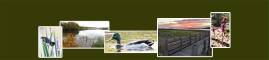 American Wetlands Month - 2025