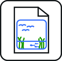 Adaptation planning includes wetlands