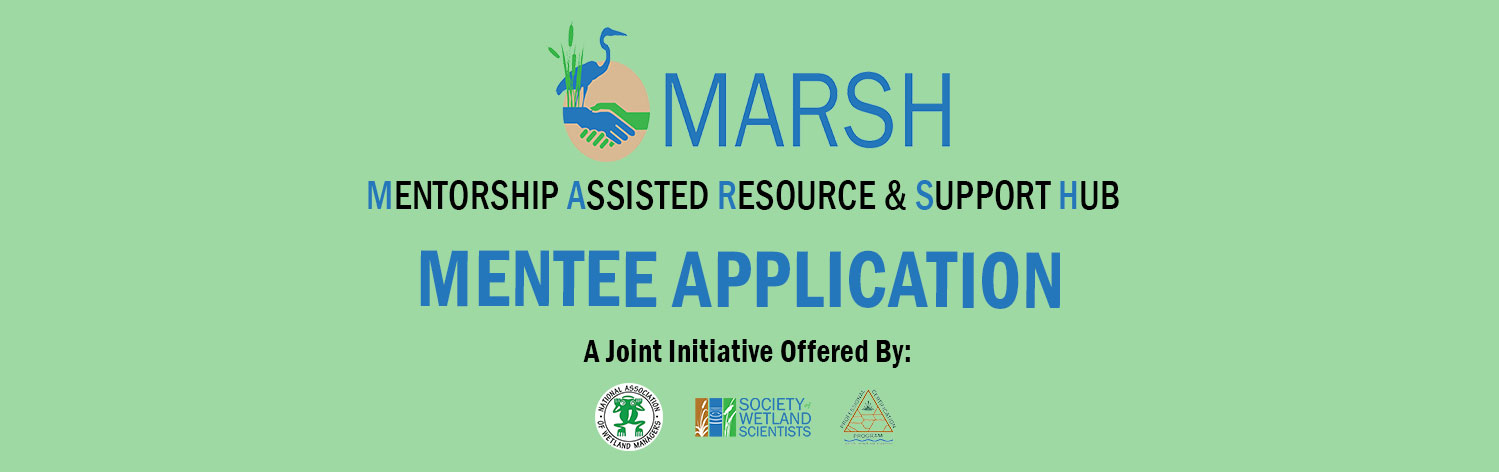 Call for Mentee Application 2025