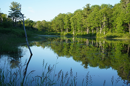 Tribal Clean Water Act Training 