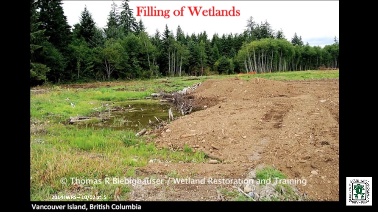 Part 5: Presenter: Tom Biebighauser, Wetland Restoration and Training