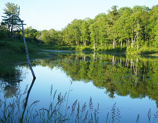 Tribal Clean Water Act Training