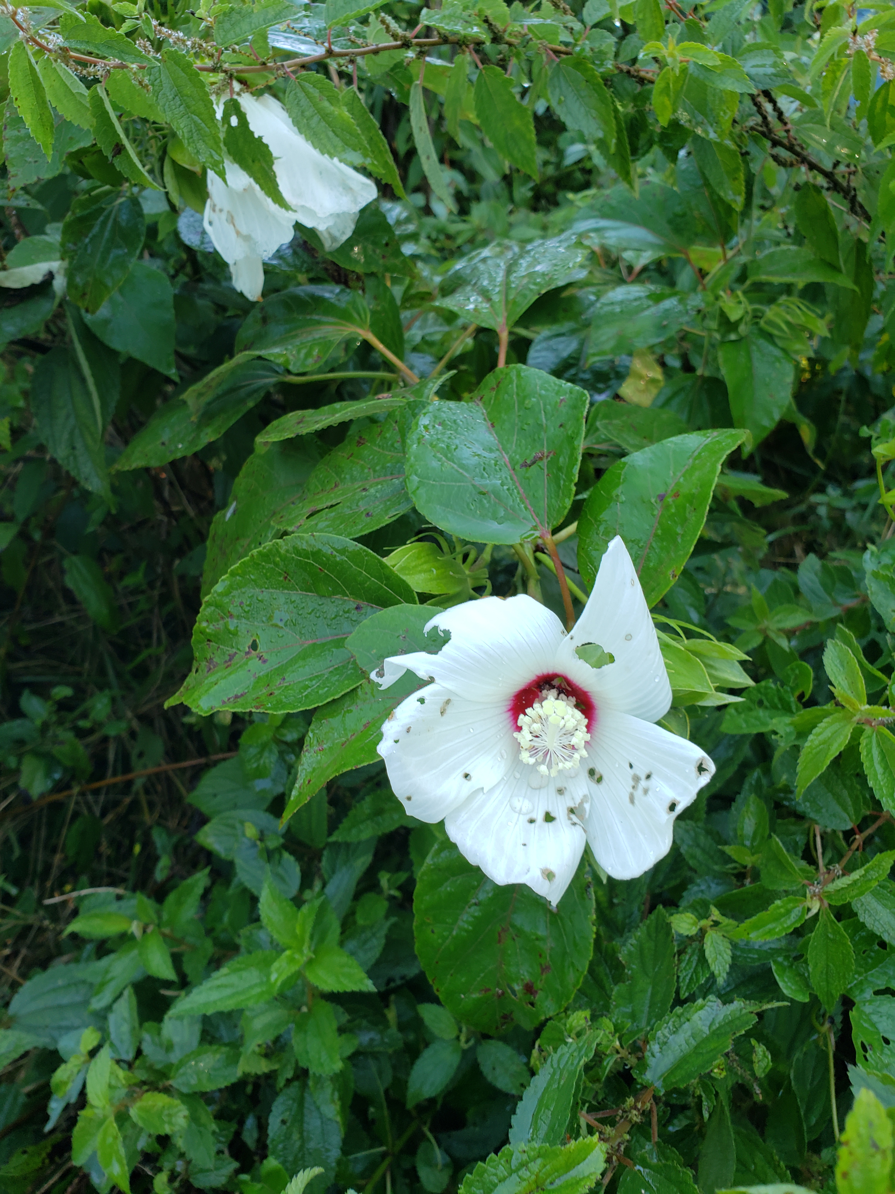 Cool Spring Nature Preserve