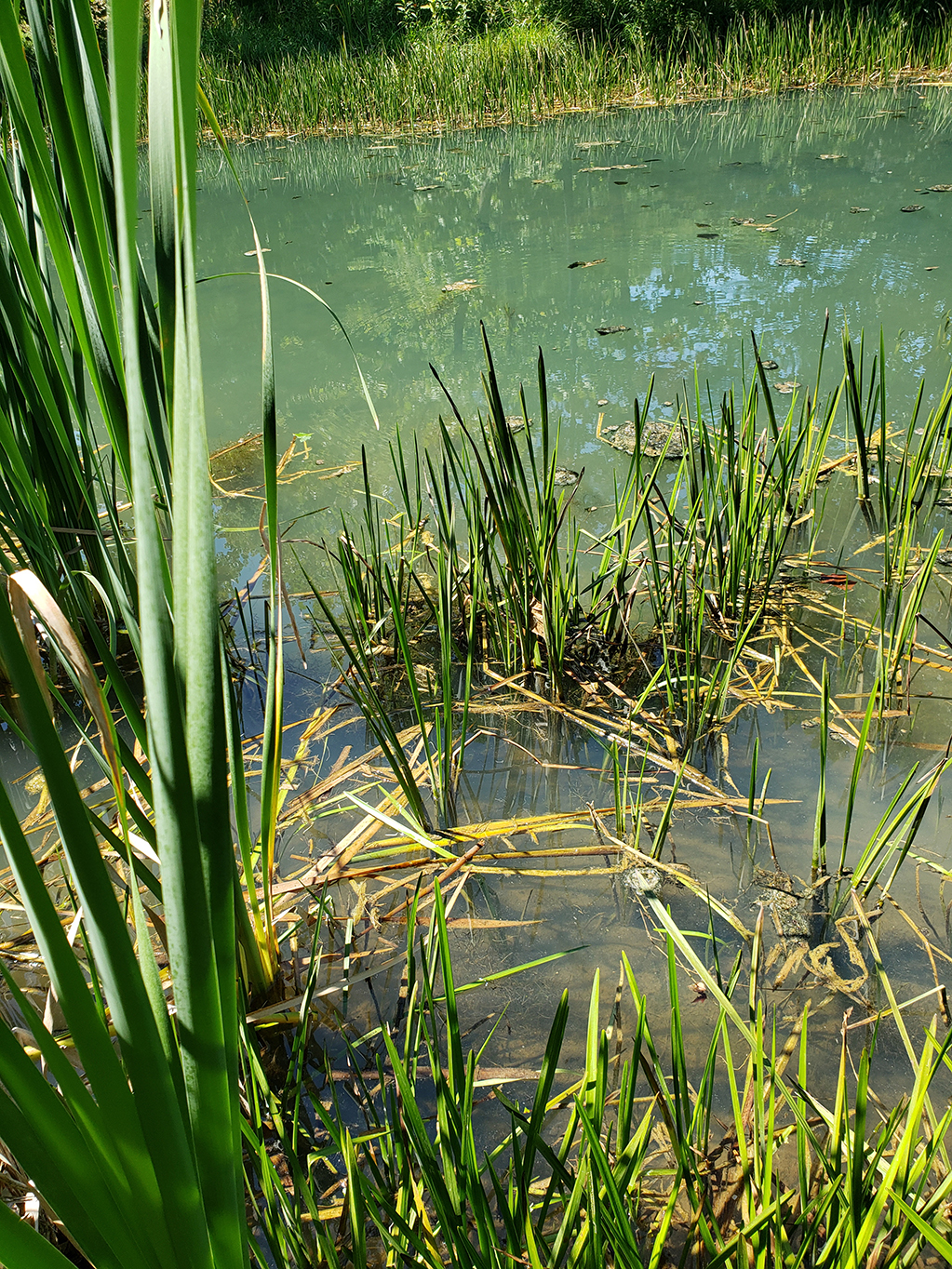 Cool Spring Nature Preserve