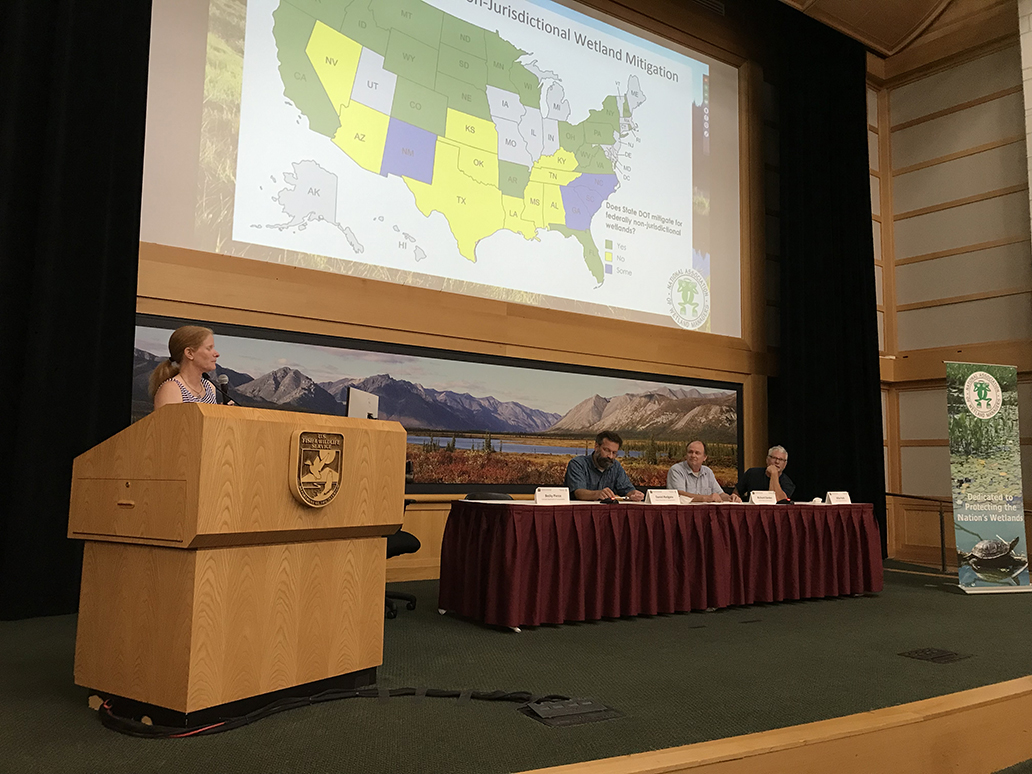 Wetland Mitigation Beyond CWA Jurisdiction Panel