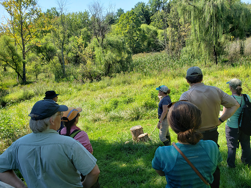 Field Trip to Cool Spring Nature Preserve 