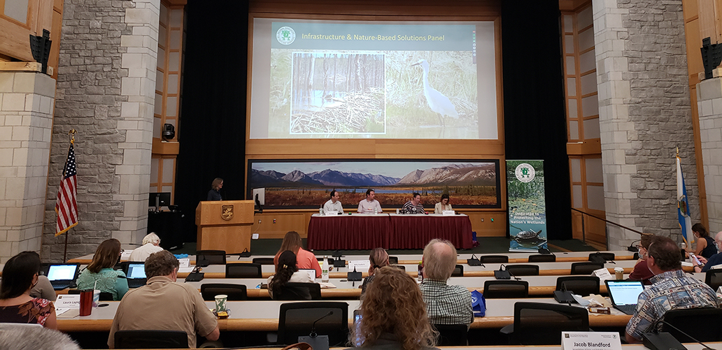 Infrastructure and Nature-Based Solutions Panel