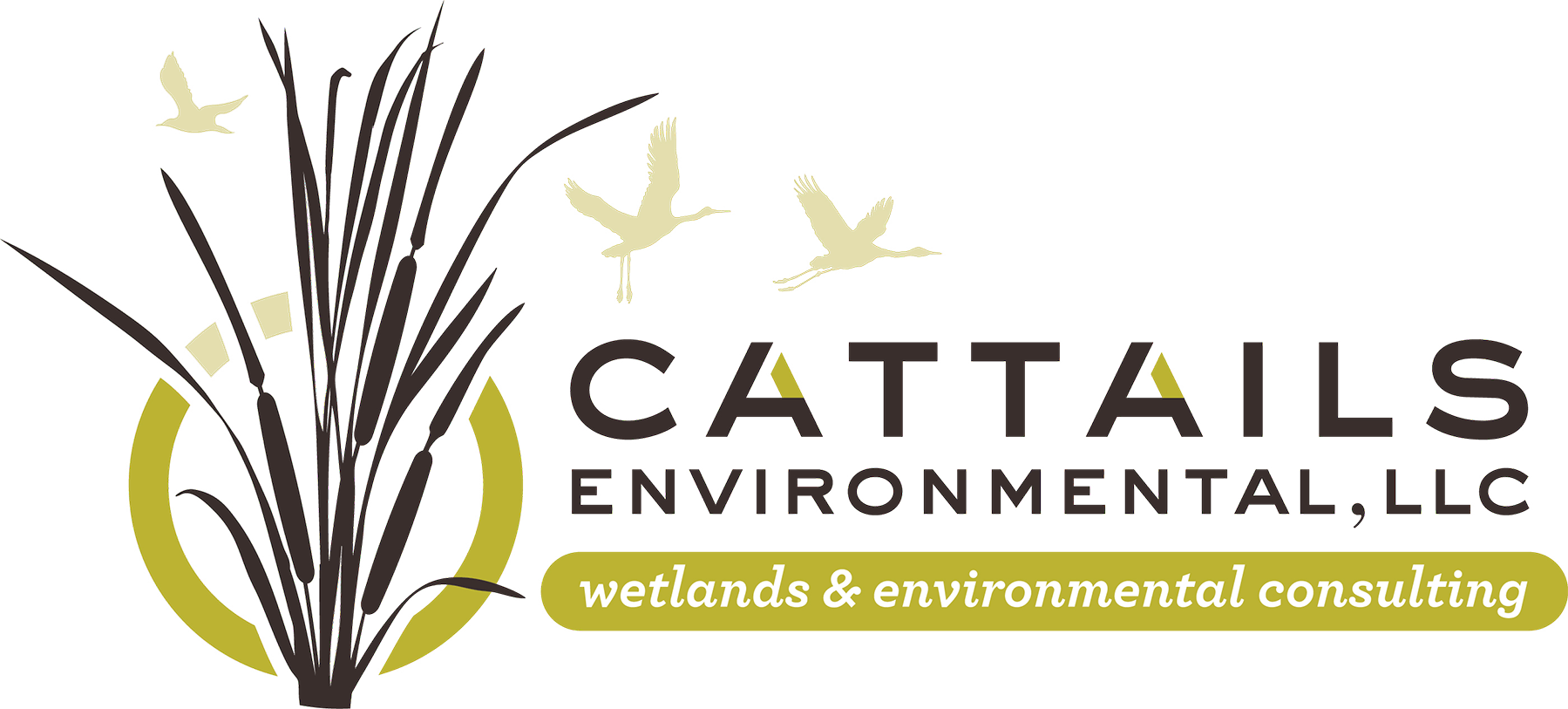 Cattails Environmenatal