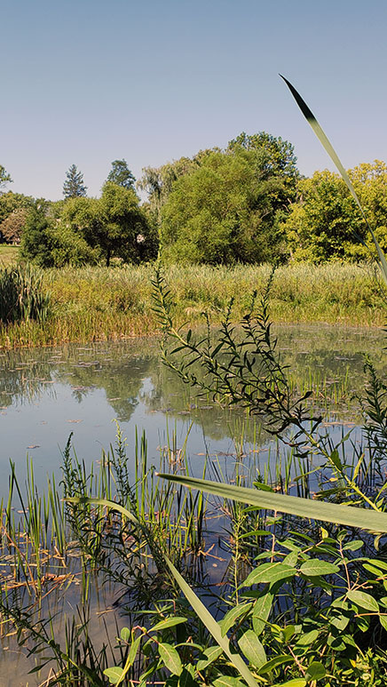 Wetland Mapping Consortium