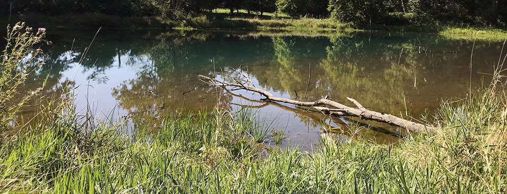 Wetlands One-Stop Mapping